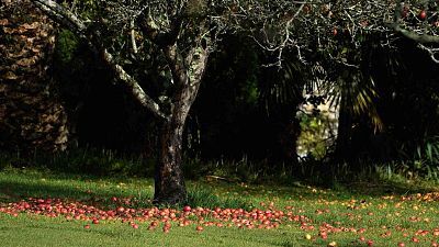 Cielos poco nubosos, salvo en Galicia y cordillera cantábrica donde lloverá