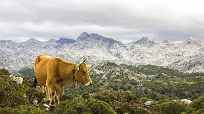 El litoral de Cataluña y en Baleares con lluvias y chubascos ocasionales