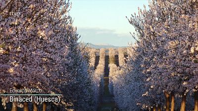 En la Península y Baleares se prevé un día anticiclónico con tiempo estable, con predominio de cielos poco nubosos o despejados