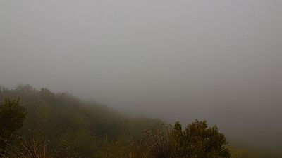 Nieblas en el nordeste y Extremadura, y lluvias en Galicia