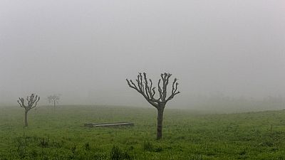 Nieblas localmente persistentes en áreas de Castilla y León