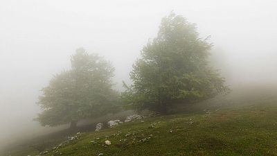Nieblas matinales en la meseta y vientos del suroeste en Galicia