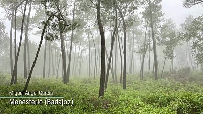 Precipitaciones localmente fuertes o persistentes en áreas del noroeste peninsular, del Cantábrico y Pirineos