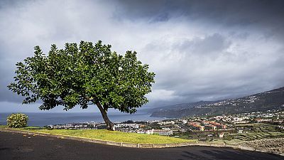 Viento fuerte en el Estrecho y lluvias localmente fuertes en Canarias