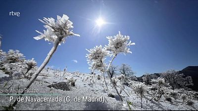 Viento fuerte o con intervalos de fuerte y rachas muy fuertes en amplias zonas del cuadrante nordeste peninsular, puntos del sudeste, Baleares, Melilla y Canarias