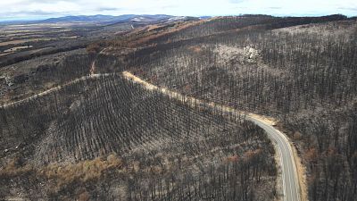 Detrás del fuego