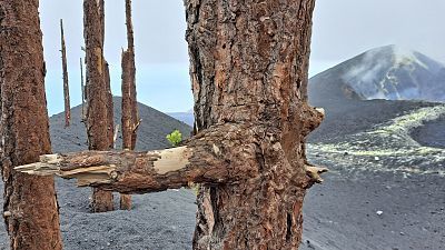 Un volcán, otra isla