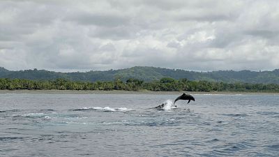 Costa Rica, pura vida