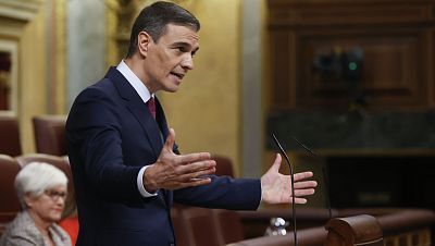 Especial informativo - Debate de investidura de Pedro Sánchez - 15/11/23 (1) - Lengua de signos