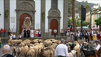 Romería Ofrenda El Pino (2ª Parte) - 07/09/2024