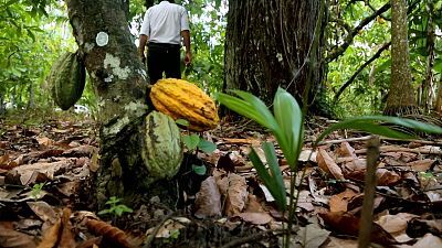 T2 - Episodio 2: Proteger la biodiversidad