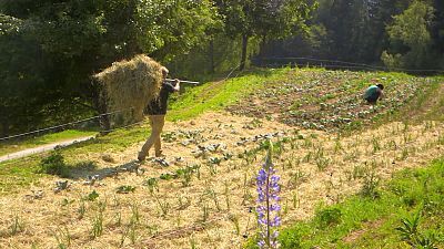 T2 - Episodio 7: Agricultura sostenible
