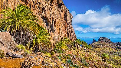 Las Islas Canarias: La vida en el límite