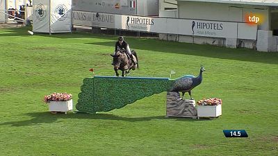 Circuito Hípico del Sol. Gran Premio Junta de Andalucía