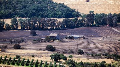 Informativo 24 horas - 14h - 03/07/25