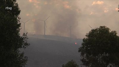 Informativo 24 horas - 14h - 06/08/25