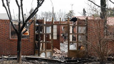 Informativo 24 horas - 14h - 12/08/25