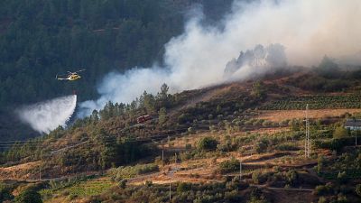 Informativo 24 horas - 14h - 20/08/25