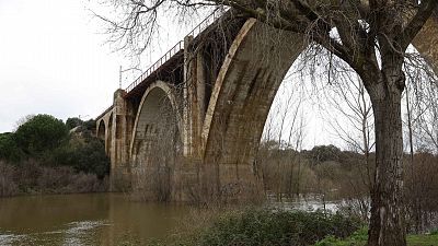 Informativo 24 horas - 14h - 21/03/25