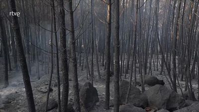 Informativo 24 horas - 20h - 01/08/25