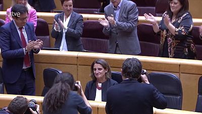 Informativo 24 horas - 20h - 20/11/24