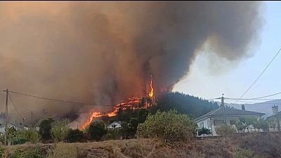 Informativo 24 horas - 20h - 25/08/25