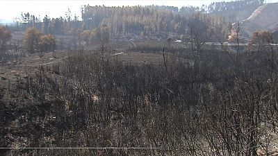 Informativo 24 horas - 20h - 26/08/25