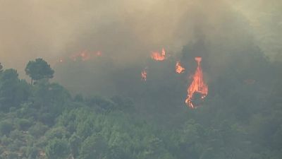 Informativo 24 horas - 20h - 30/07/25