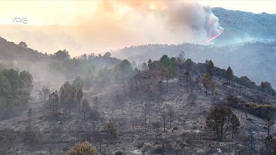 Informativo 24 horas - 20h - 31/07/25