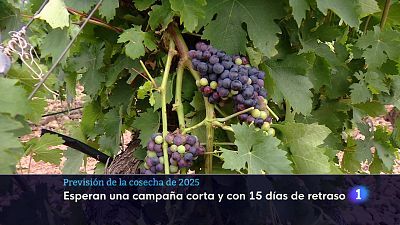01-08-2025 Ver ahora