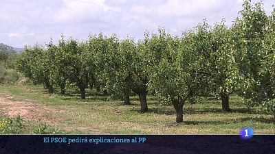 03-06-2025 Ver ahora
