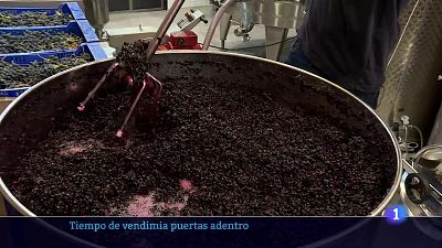 04/10/24 - Ver ahora