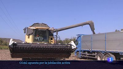 08/08/24 - Ver ahora