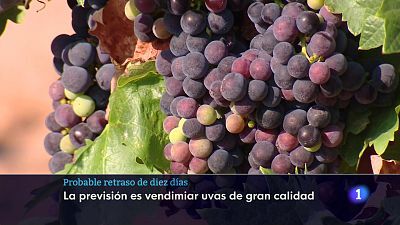 09/08/24 - Ver ahora