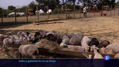 13-08-2025 Ver ahora