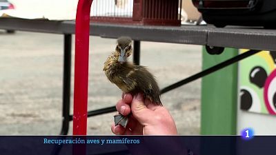17/04/24 - Ver ahora