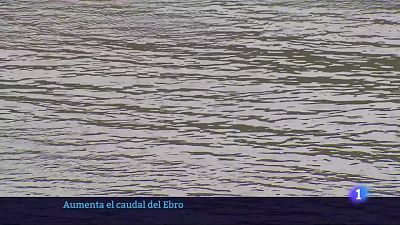 2 - 31/01/25 - Ver ahora