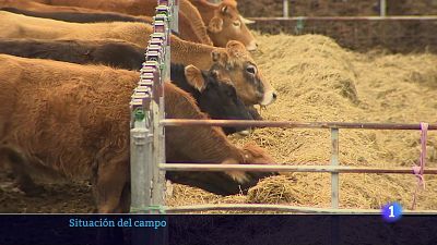 20/03/25 - Ver ahora