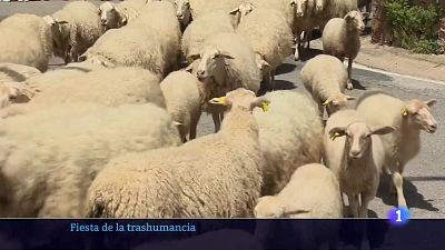 23-06-2025 Ver ahora