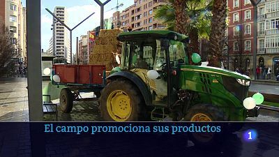 23/12/24 - Ver ahora