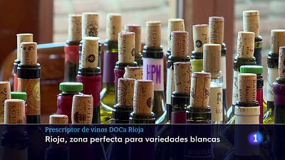 24/10/24 - Ver ahora