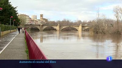 31/01/25 - Ver ahora
