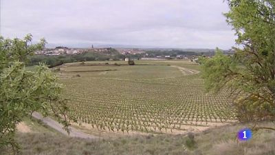Aumento del enoturismo en La Rioja