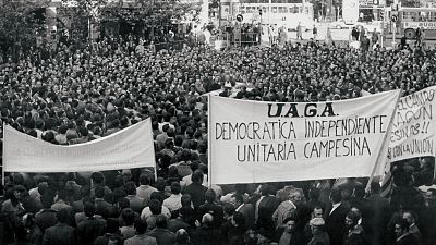 Capítulo 5: La mayoría silenciosa