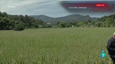 Aturar el pla de ponent a Gavà, Habitatge cooperatiu a Mollet i Circ Cric, 40 anys