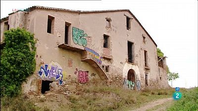 Caçadors d'imatges, Tornen els Pallapupas i Bolets per la inserció