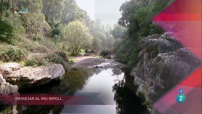 Dones, ciència i tecnologia, Passejar al Ripoll i Pont del Petroli