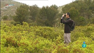 Observant la biodiversitat, Contra l'abandonament escolar i Adeu al Teatre de l'Òpera