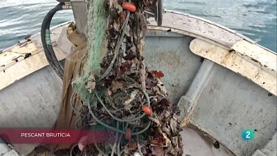 Planten cara als controls Covid i Pescant brutícia