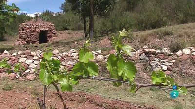 Relleu al camp, Encaixant pedres i Eixample amb nom de dona